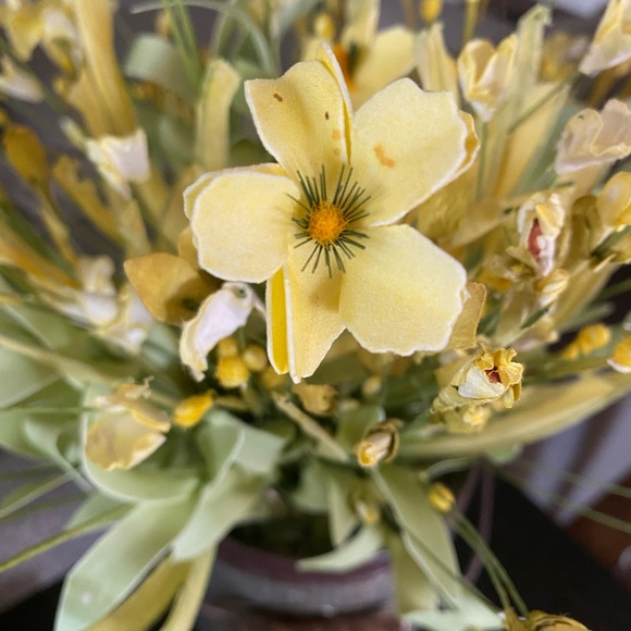 Meet your Posher, Kass - Picture 1 of 1